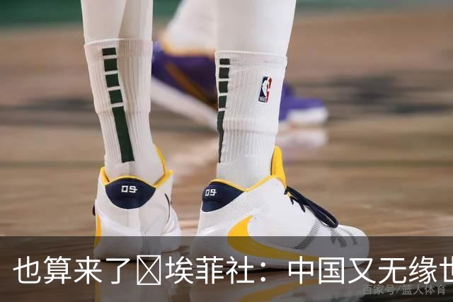 也算来了😅埃菲社：中国又无缘世界杯，但中国企业深度参与其中
