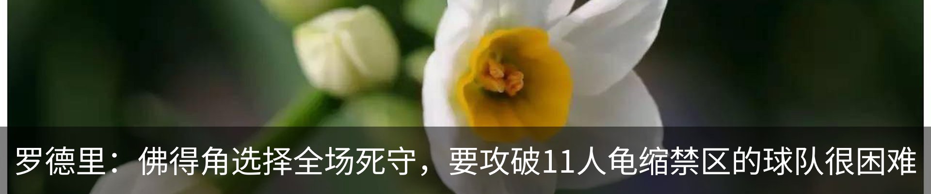 资讯动态