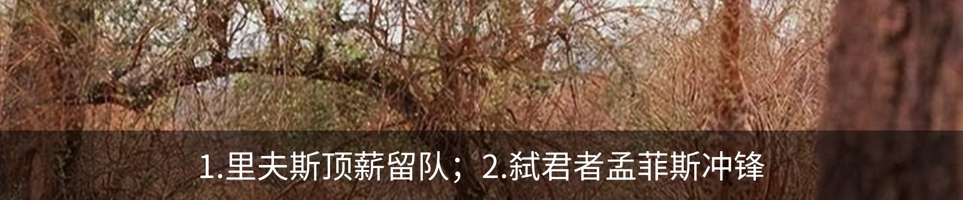 资讯动态